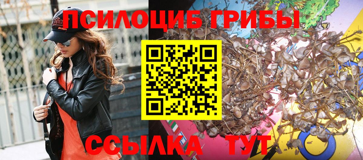 Псилоцибиновые грибы мицелий  Вход с VPN  Мичуринск  Псилоцибиновые грибы прущие грибы 