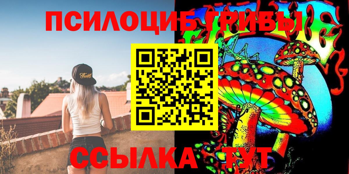 Псилоцибиновые грибы Cubensis Мичуринск